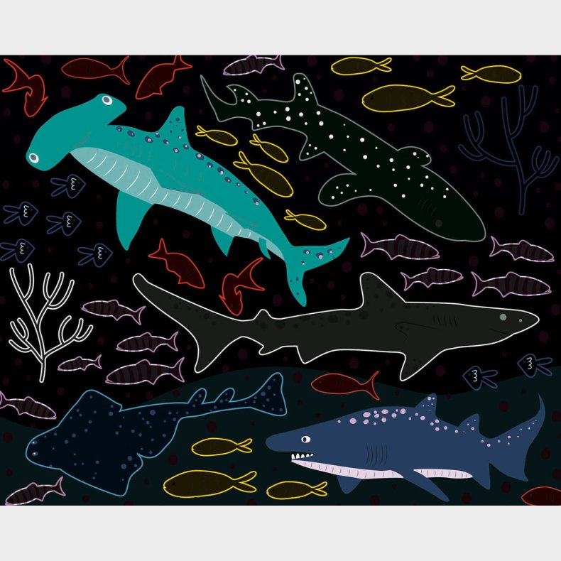 Auzou - Ridsekort - Havet