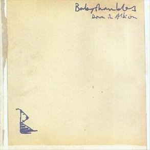 Babyshambles - Down In Albion - CD
