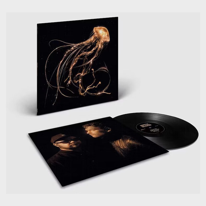 Royal Blood - Back To The Water Below - Vinyl Lp