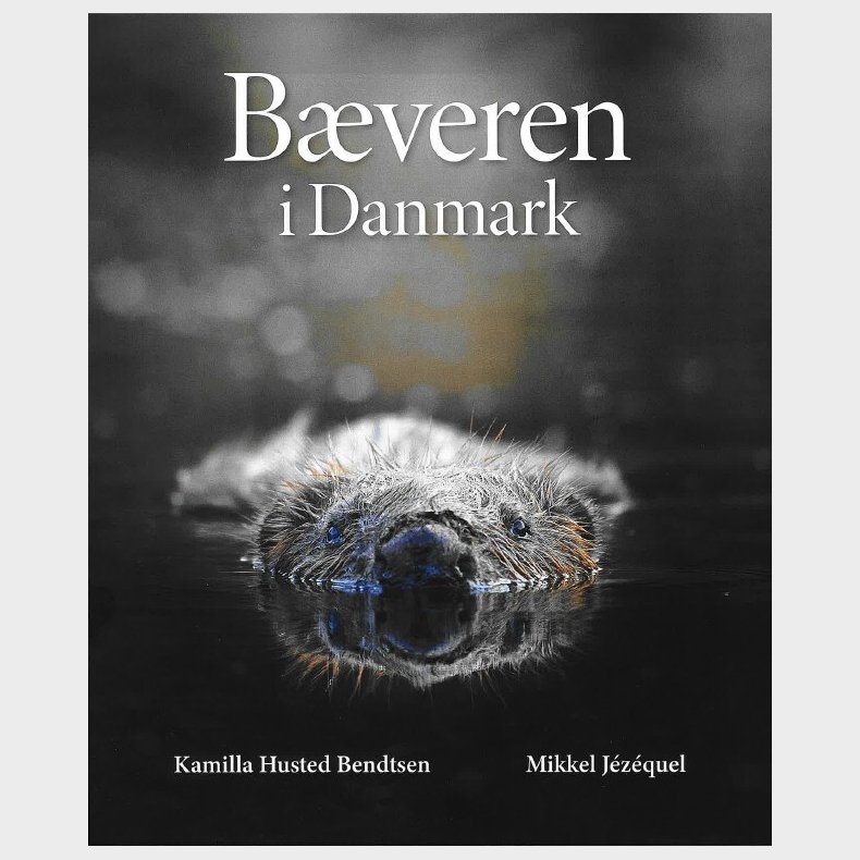 B�veren I Danmark - Kamilla Husted Bendtsen - Bog