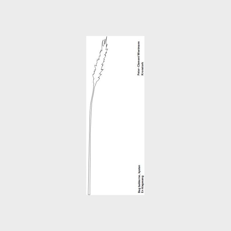 Bag Bakkerne, Kysten - Peter-clement Woetmann - Bog