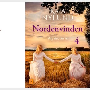 Bag Det, Du Ser - Nordenvinden 4 - Kaja Nylund - Bog