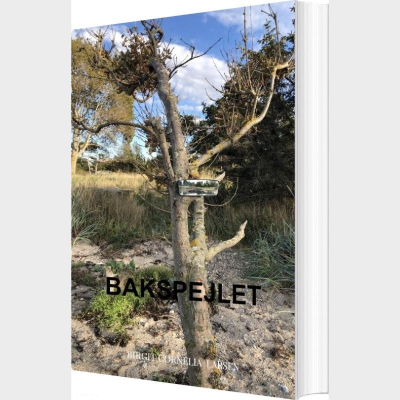 Bakspejlet - Birgit Cornelia  Larsen - Bog