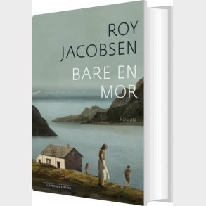 Bare En Mor - Roy Jacobsen - Bog