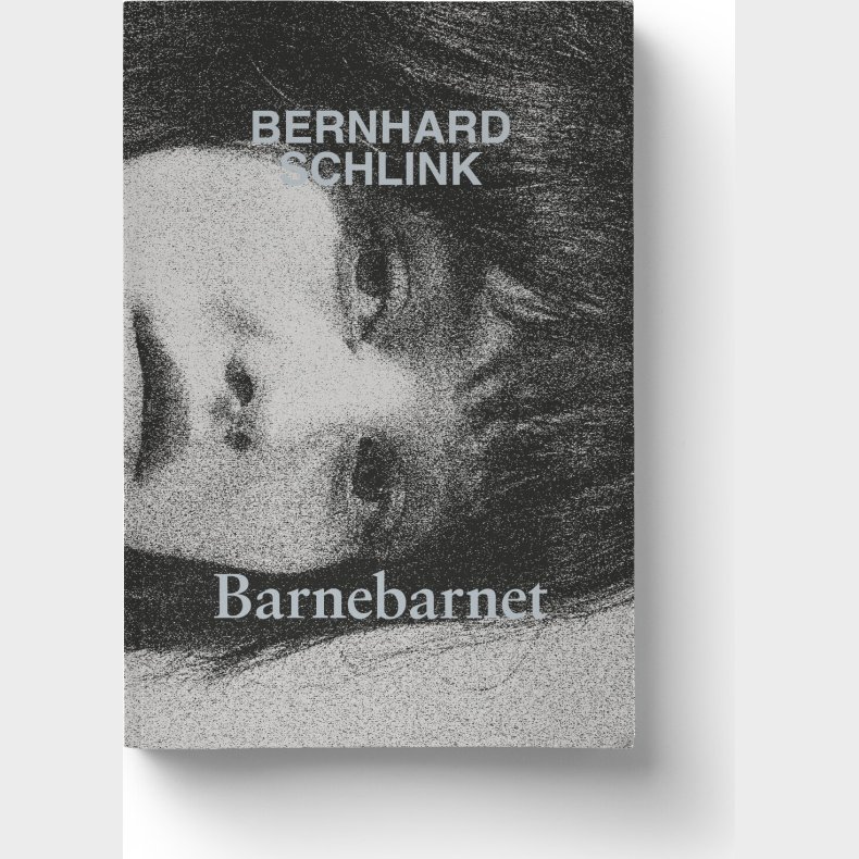 Barnebarnet - Bernhard Schlink - Bog