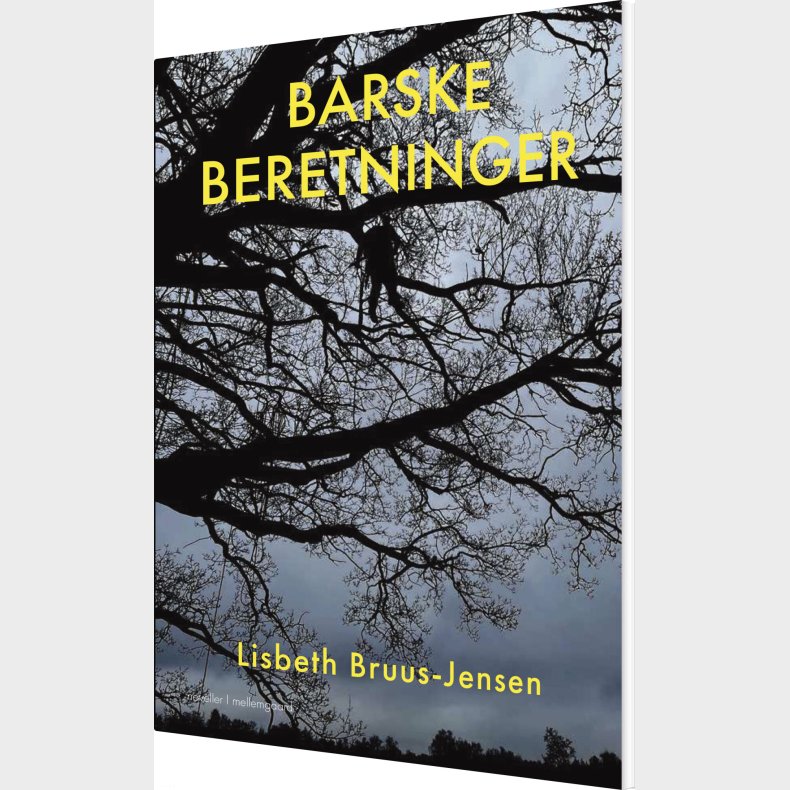 Barske Beretninger - Lisbeth Bruus-jensen - Bog