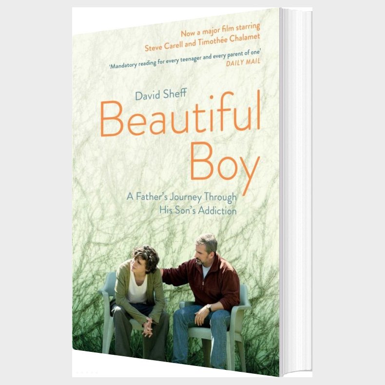 Beautiful Boy - David Sheff - English Book