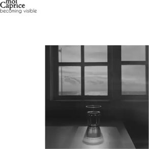 Moi Caprice - Becomming Visible - Vinyl Lp