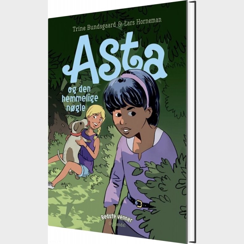 Bedste Venner 8 - Asta Og Den Hemmelige N�gle - Trine Bundsgaard - Bog