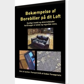 Bek�mpelse Af Borebiller P� Dit Loft - Gitte Ahrenkiel - Bog