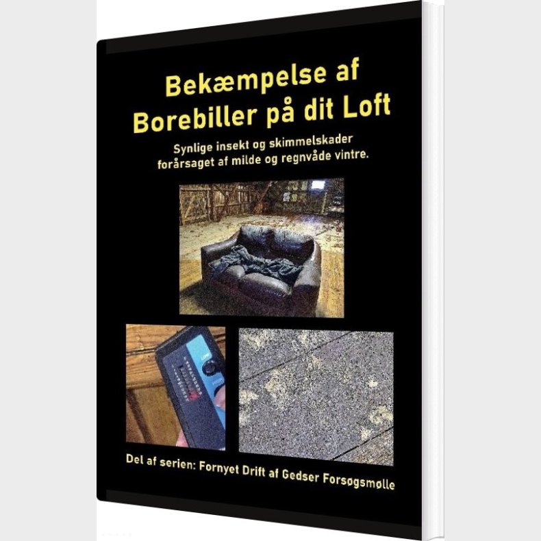 Bek�mpelse Af Borebiller P� Dit Loft - Gitte Ahrenkiel - Bog