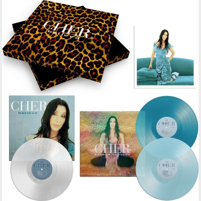 Cher - Believe - Vinyl Lp