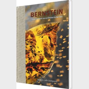 Bernstein - Flaschenpost Aus Pr�historischer Zeit - Anders Leth Damgaard - Tysk Bog