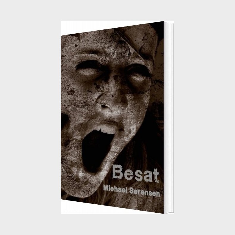 Besat - Michael S�rensen - Bog