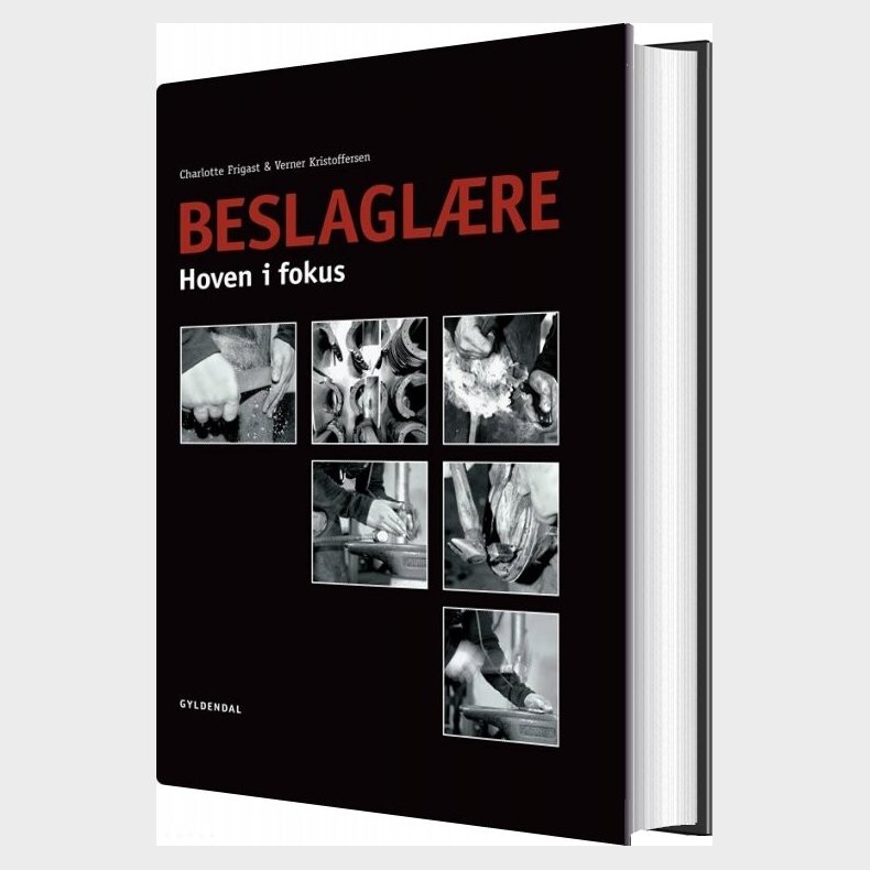 Beslagl�re - Verner Kristoffersen - Bog