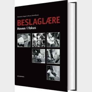 Beslagl�re - Verner Kristoffersen - Bog