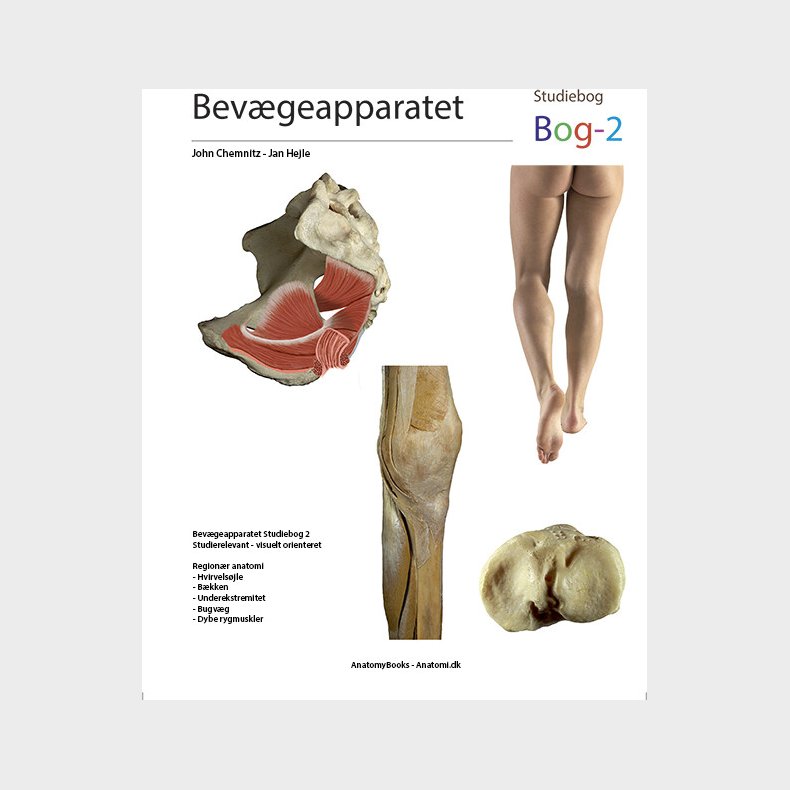 Bev�geapparatet - Jan Hejle - Bog