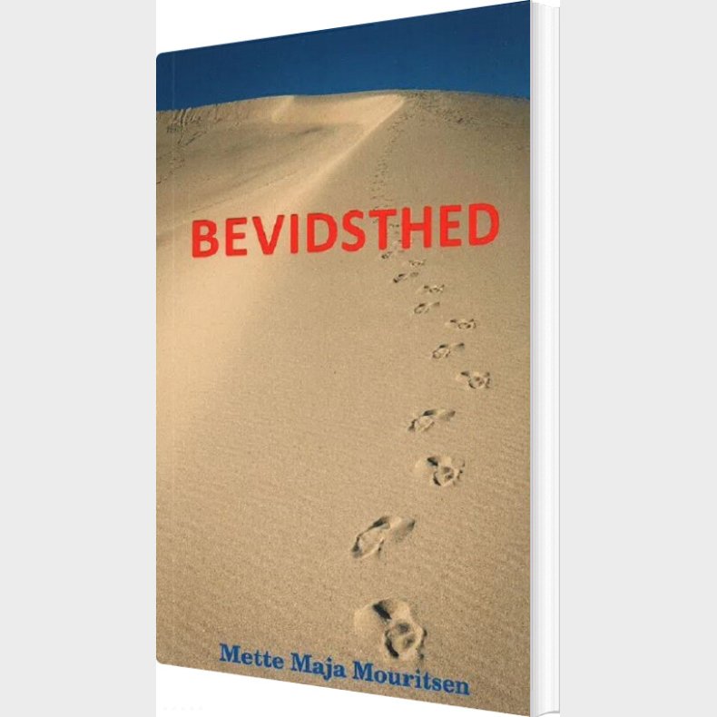 Bevidsthed - Mette Maja Mouritsen - Bog