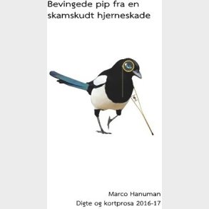 Bevingede Pip Fra En Skamskudt Hjerneskade - Marco Hanuman - Bog