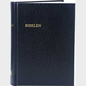 Bibelen - Lille Format, Kirkebibelen - Bog