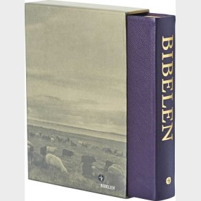 Bibelen Med Det Gamle Testamentes Apokryfe B�ger - Stort Format - Bog