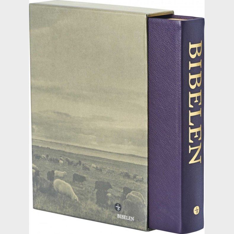 Bibelen Med Det Gamle Testamentes Apokryfe B�ger - Stort Format - Bog