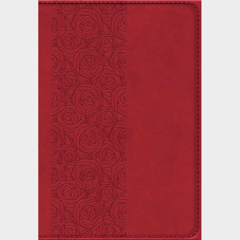 Bibelen P� Hverdagsdansk, Vinr�d, Pu - Bog