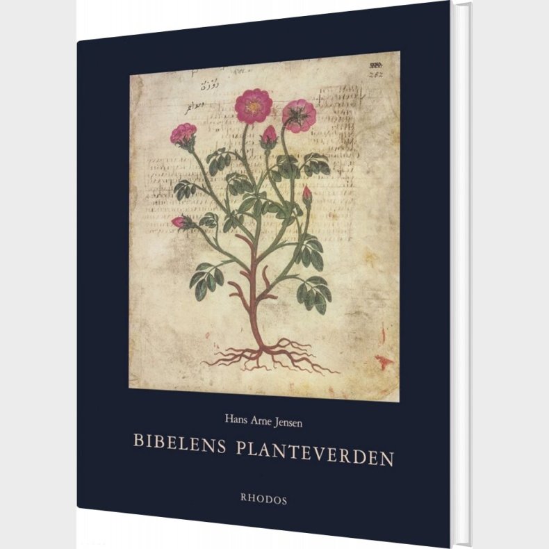 Bibelens Planteverden - Hans Arne Jensen - Bog