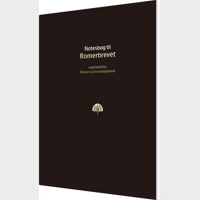 Bibelnotesbog 6, Romerbrevet - Bog