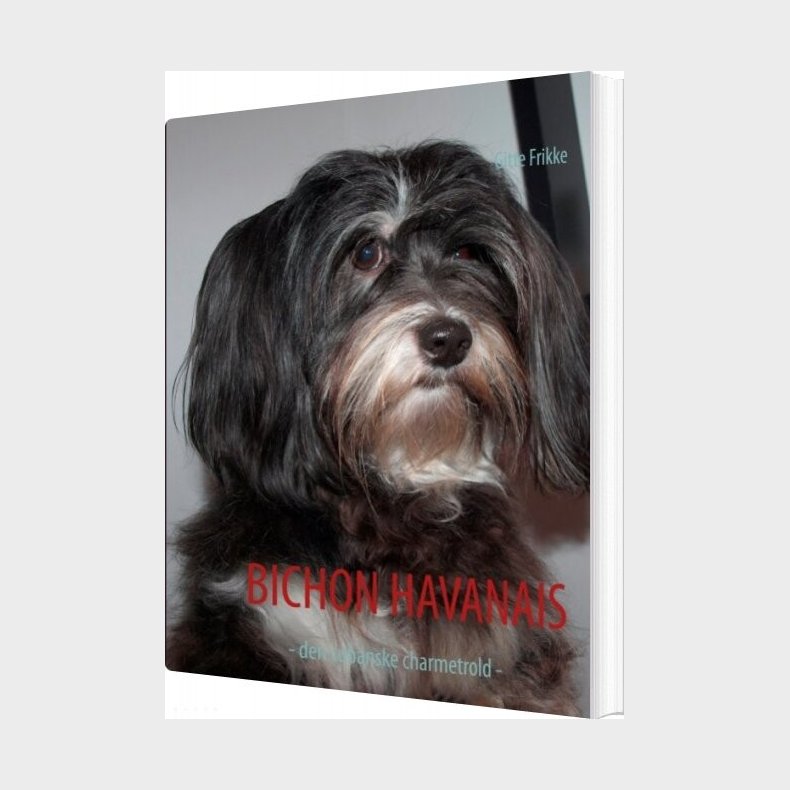 Bichon Havanais - Gitte Frikke - Bog