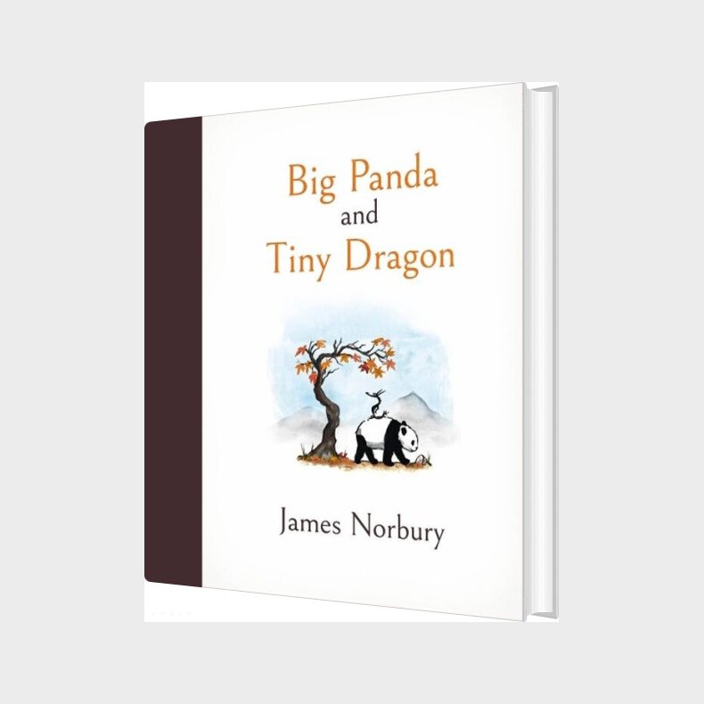 Big Panda And Tiny Dragon - James Norbury - English Book
