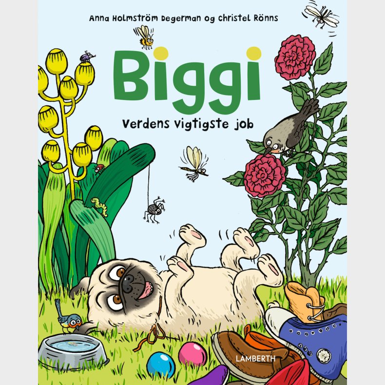 Biggi - Verdens Vigtigste Job - Anna Holmstr�m Degermann - Bog