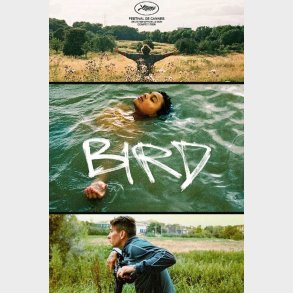 Bird - DVD - Film