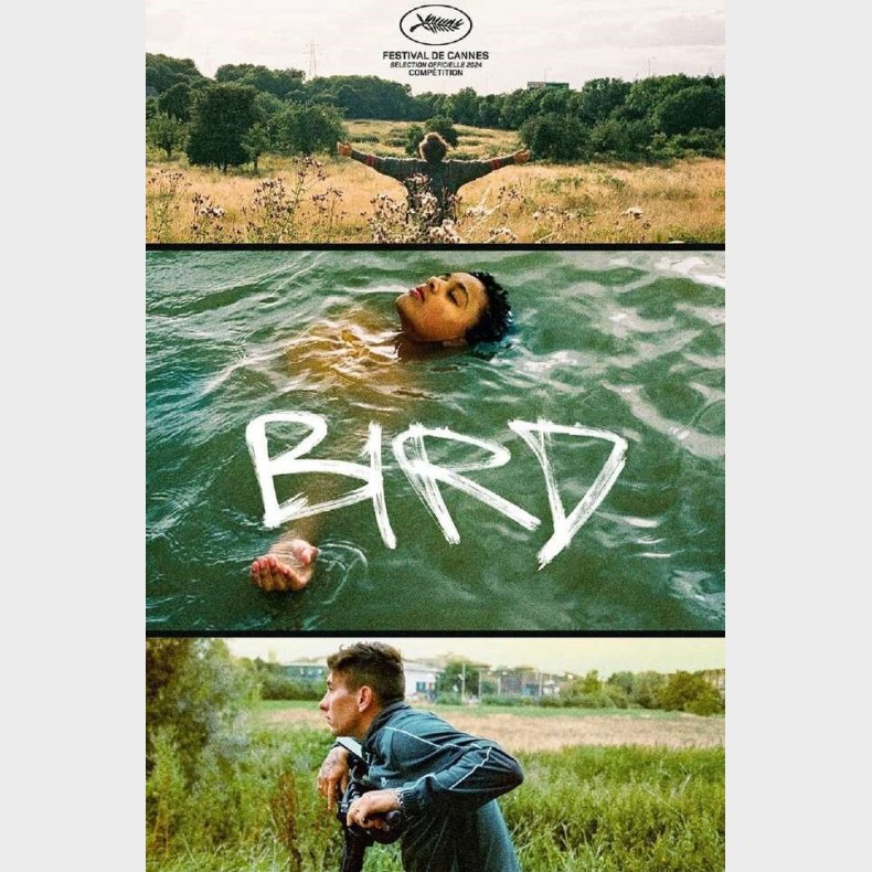 Bird - DVD - Film