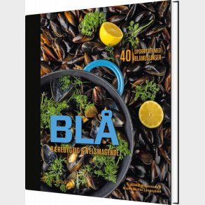 Bl� - Mikkel Wejdemann - Bog