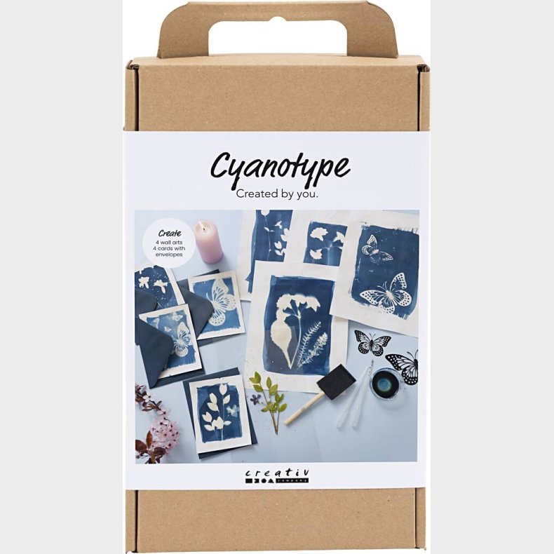 Diy Kit Cyanotypi