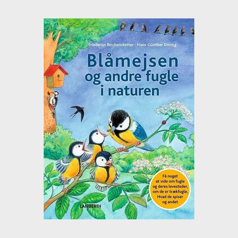 Bl�mejsen Og Andre Fugle I Naturen - Friederun Reichenstetter - Bog