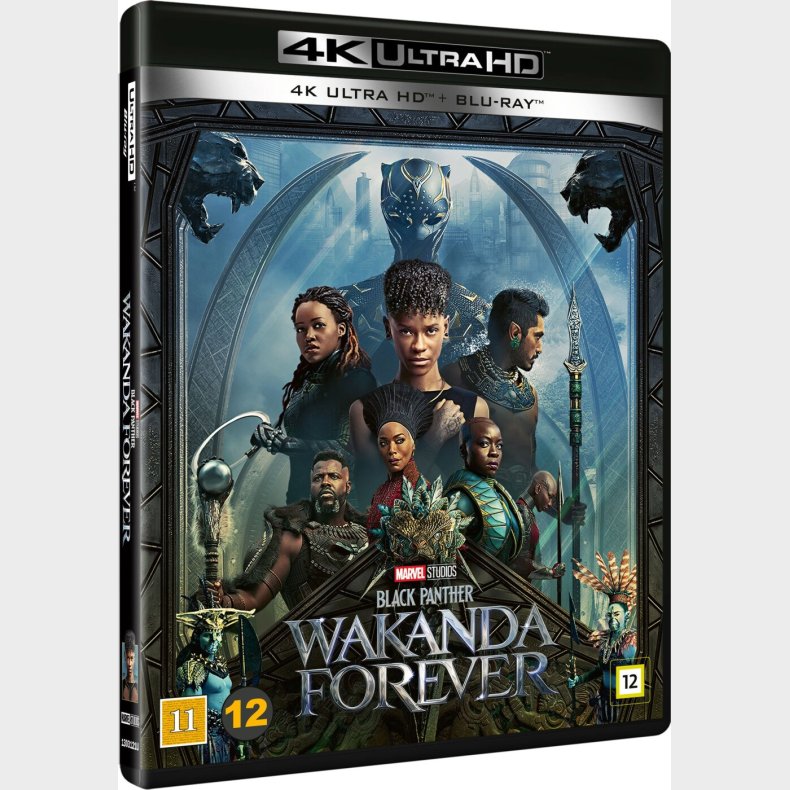 Black Panther 2 - Wakanda Forever - 4K Blu-Ray