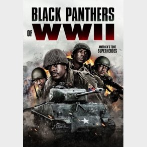 Black Panthers Of Ww2 - DVD - Film