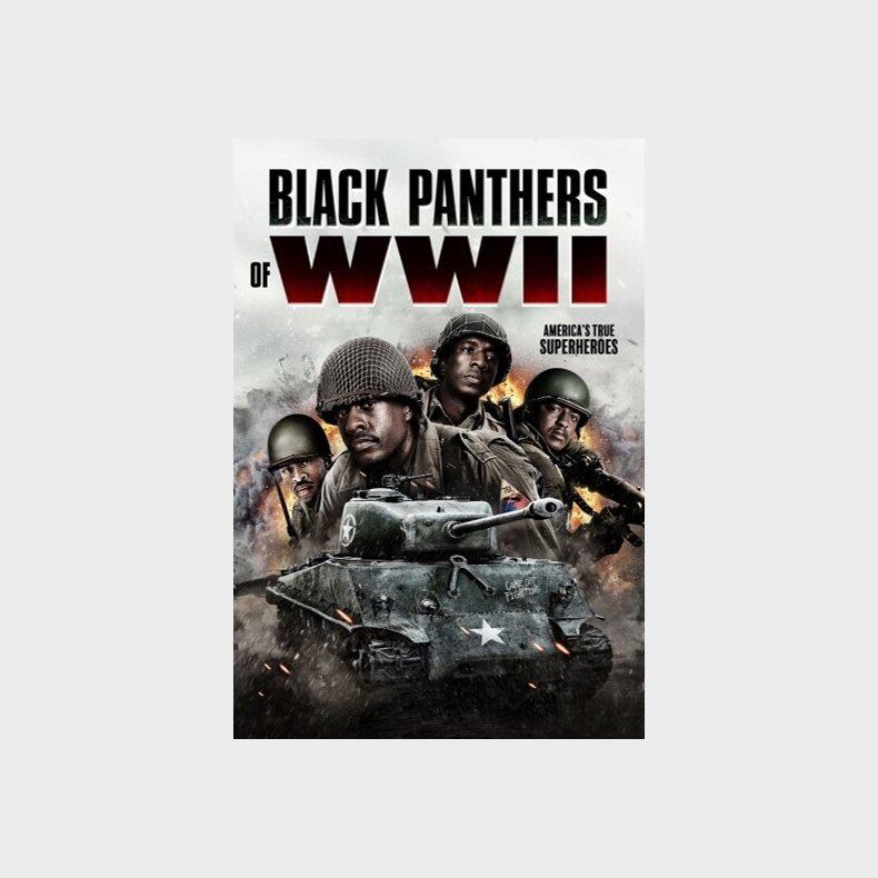 Black Panthers Of Ww2 - DVD - Film