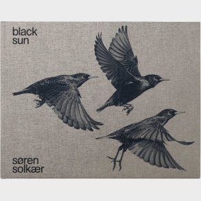 Black Sun - S�ren Solk�r - Bog