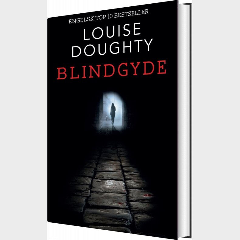 Blindgyde - Louise Doughty - Bog