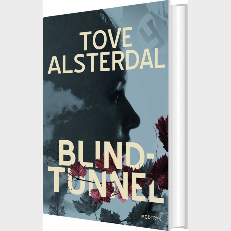 Blindtunnel - Tove Alsterdal - Bog