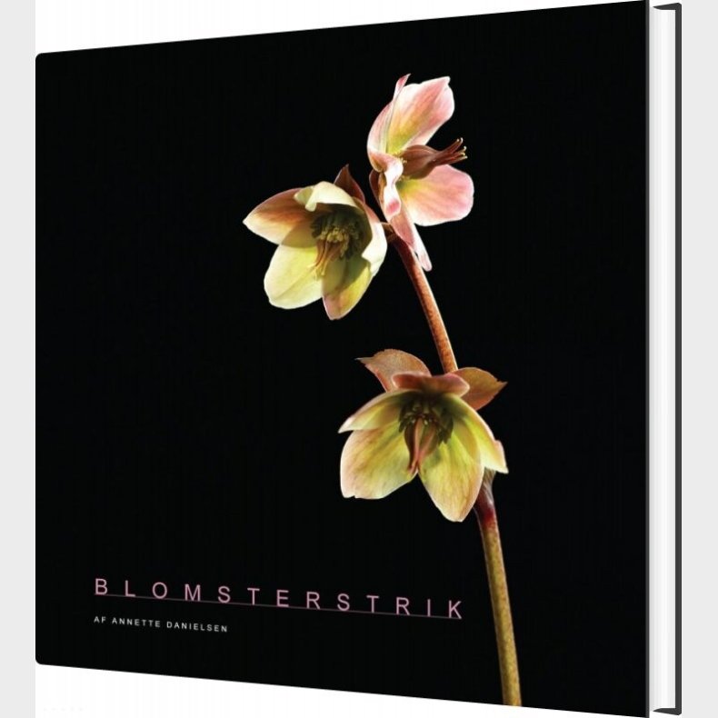 Blomsterstrik - Annette Danielsen - Bog