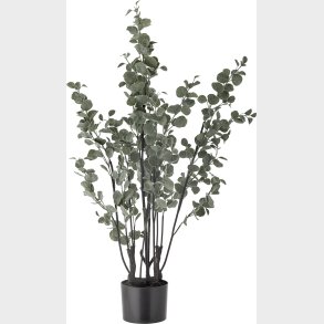 Bloomingville - Eucalyptus Plante - Grn - Kunstig Plante