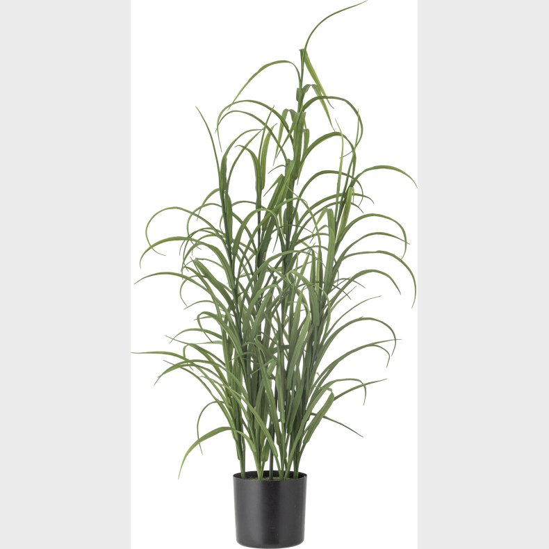 Bloomingville - Grass Grs Plante - Grn - Kunstig Plante