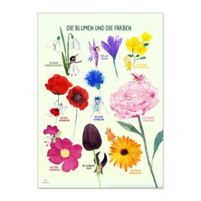 Ciha | Plakat 50 x 70 cm - Farverne og blomsterne Tysk