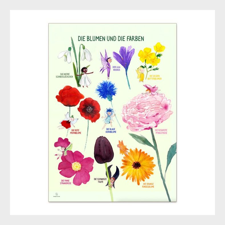 Ciha | Plakat 50 x 70 cm - Farverne og blomsterne Tysk