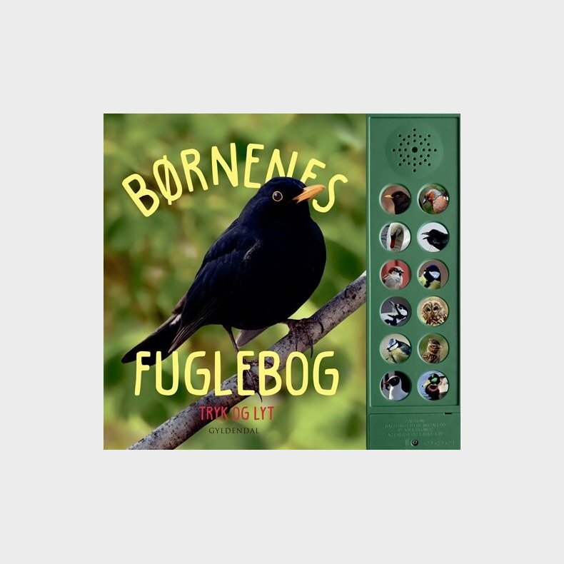 Brnenes Fuglebog - Sara Ejersbo - Bog