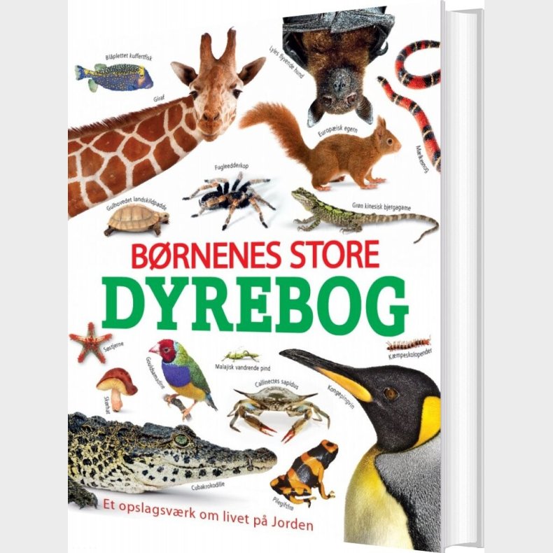 B�rnenes Store Dyrebog - Bog